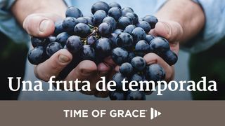 Una fruta de temporada Tito 3:5 Traducción en Lenguaje Actual