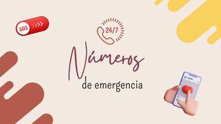 Números De Emergencia Mateo 6:25 Nueva Versión Internacional - Español