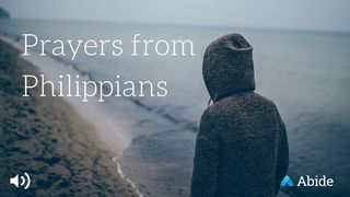 Prayers From Philippians Filipenses 1:9-10 Nueva Traducción Viviente