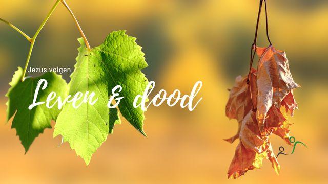 Discipelschap & leven en dood