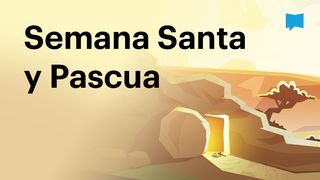 Proyecto Biblia | Semana Santa y Pascua MATEO 21:1-11 La Palabra (versión española)