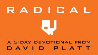 Radical: A 5-Day Devotional By David Platt  The Books of the Bible NT