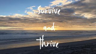 Divorce To Healing: Survive And Thrive 2 Timothy 2:14-18 The Message