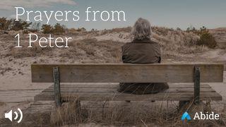 Prayers From 1 Peter 1 Peter 1:8-13 Christian Standard Bible