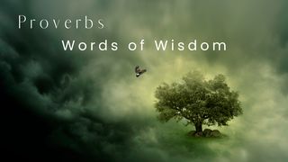 Proverbs - Words of Wisdom Proverbs 2:6-8 The Message