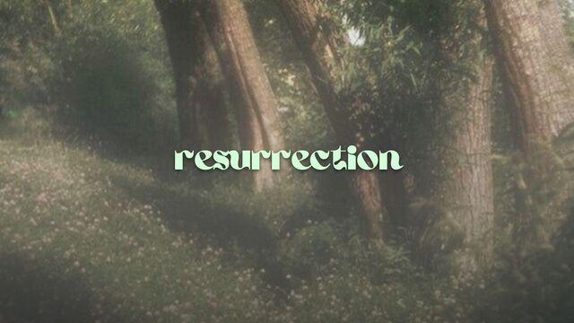 Resurrection!