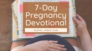 Growing Your Faith (And Baby) During Pregnancy Prediker 11:5 Het Boek