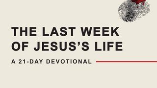 The Last Week of Jesus's Life Matthew 26:2 New American Bible, revised edition