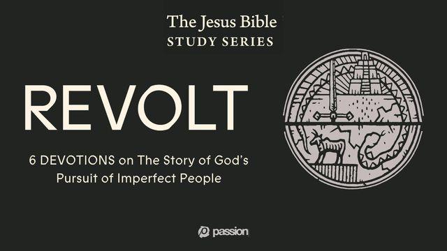 Revolt: The Story of God's Pursuit of Imperfect People