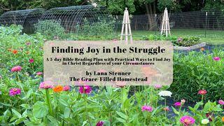 Finding Joy in the Struggle Ephesians 6:23-24 The Message