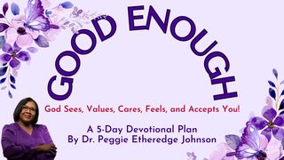 Good Enough: God Sees, Values, Cares, Feels, and Accepts You!  A 5-Day Devotional Plan  by Dr. Peggie Etheredge Johnson  John 11:1-37 King James Version