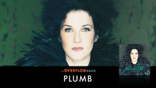 Plumb - The Overflow Devo Proverbs 3:19-20 The Message