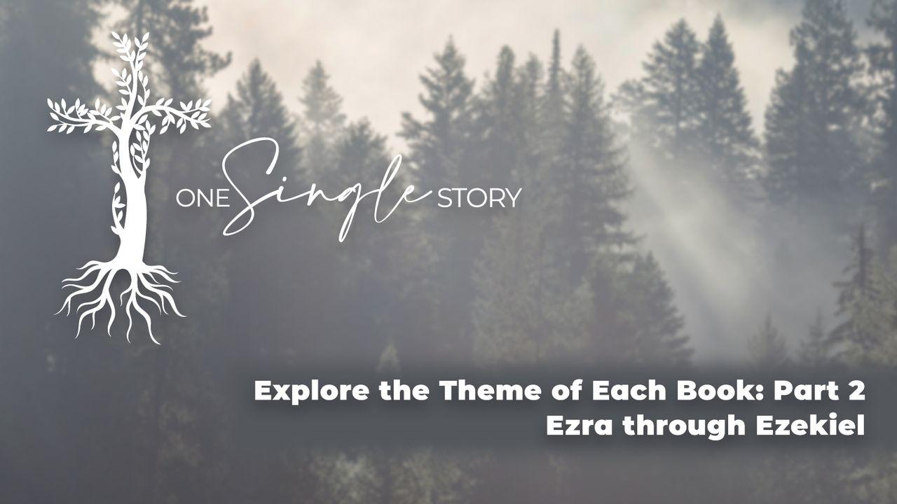 One Single Story Bible Themes Part 2