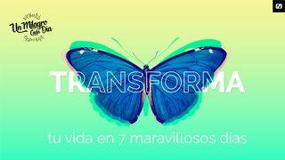 ¡Transforma Tu Vida en 7 Maravillosos Días! Proverbios 23:5 Nueva Biblia de las Américas