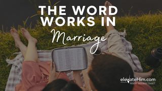The Word Works in Marriage Genesis 41:14 New King James Version