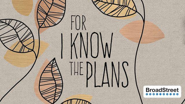 For I Know the Plans