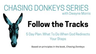 Chasing Donkeys Series: Follow the Tracks  1 Samuel 9:3-4 The Message