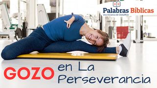 Gozo en La Perseverancia Filipenses 3:11 Nueva Versión Internacional - Español