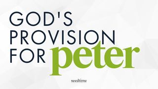 3 Biblical Promises About God's Provision (Part 2: Peter) Matthew 4:18-20 The Message