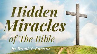 Hidden Miracles of the Bible: Secret Wisdom Within the Word Jonah 1:15 New Living Translation