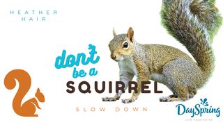 Don't Be a Squirrel: Slow Down Psaumes 46:10 La Bible du Semeur 2015