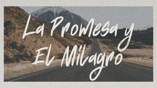 La promesa y el milagro Mateo 7:8 Nueva Traducción Viviente