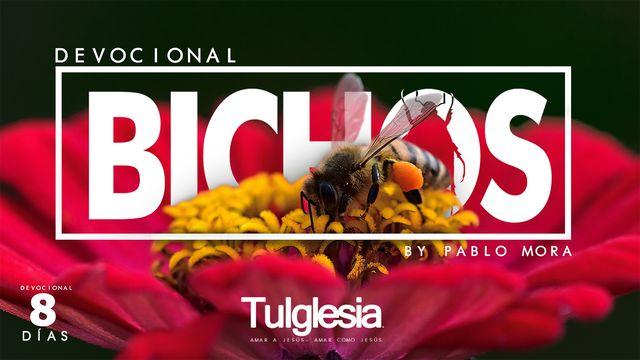 BICHOS - Explorando los dones del Fruto del Espíritu Santo
