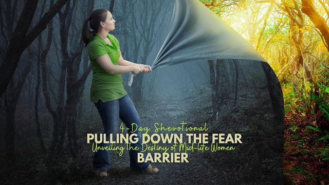 Shevotionals: Pulling Down the Fear Barrier and Unveiling Destiny in Mid-Life Women.