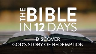 The Bible in 12 Days : Discover God’s Story of Redemption Exodus 12:12-13 The Message