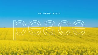 Peace Romans 12:17-19 English Standard Version 2016