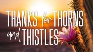 Thanks for Thorns and Thistles Psalms 25:5 GOD'S WORD