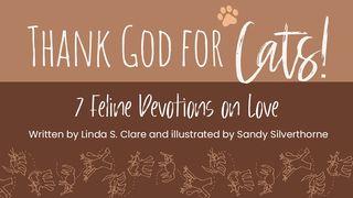 Thank God for Cats!: 7 Feline Devotions on Love 1 Chronicles 28:9-10 The Message