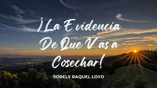 ¡La Evidencia De Que Vas a Cosechar! Josué 3:17 Nueva Versión Internacional - Español