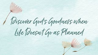 Discover God’s Goodness When Life Doesn’t Go as Planned Genesis 8:10-11 The Message