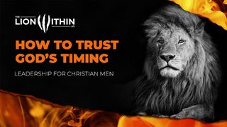 TheLionWithin.Us: How to Trust God’s Timing Matthew 24:35 New International Version (Anglicised)