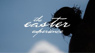 The Easter Experience Luke 22:60 New International Version