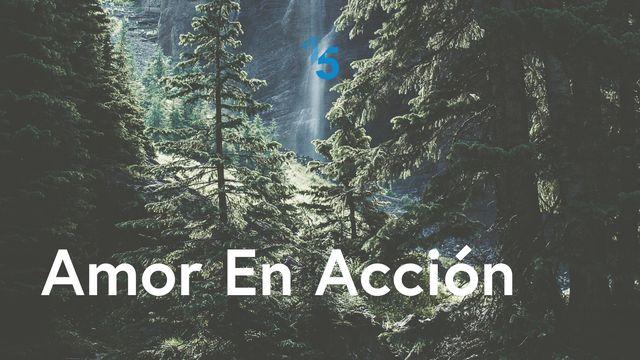 Amor En Acción