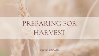 Preparing for Harvest Matthew 13:29-30 The Message