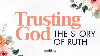 Trusting God: A 3-Day Journey Through Ruth's Faith, Provision, and Purpose Matthew 6:26 New American Standard Bible - NASB 1995