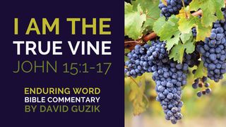 I Am the True Vine: Bible Commentary on John 15:1-17 Isaiah 5:2 English Standard Version 2016