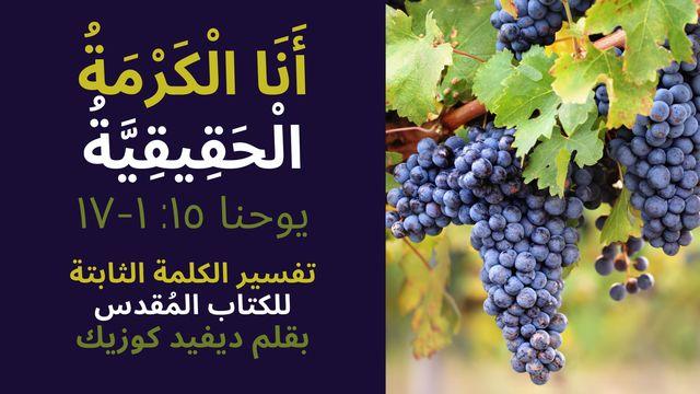 أَنَا الْكَرْمَةُ الْحَقِيقِيَّةُ تفسير إنجيل يوحنا ١٥: ١-١٧