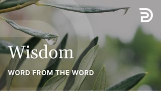 A Word From the Word - Wisdom Proverbs 4:6 New King James Version