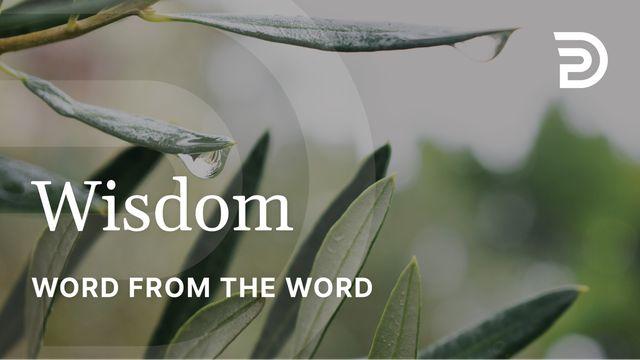 A Word From the Word - Wisdom