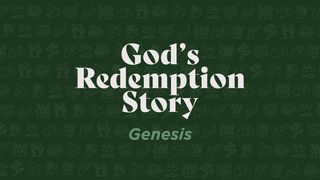 God's Redemption Story (Genesis) Genesis 8:10-11 The Message