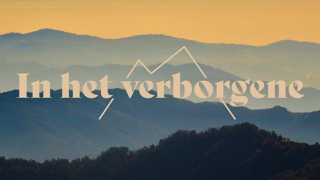 In het verborgene