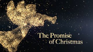 The Promise of Christmas 1 Timothy 4:10 New International Version