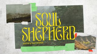 Soul Shepherd Genesis 48:15-16 New International Version (Anglicised)