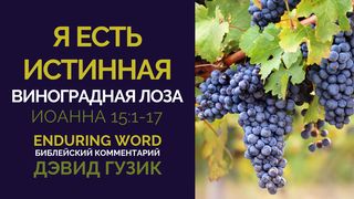 Я ЕСТЬ ИСТИННАЯ ВИНОГРАДНАЯ ЛОЗА: Библейский комментарий на Евангелие от Иоанна 15:1-17 От Иоанна 15:16 Новый русский перевод
