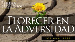 Florecer en La Adversidad ROMANOS 12:2 La Palabra (versión española)
