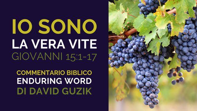 Io Sono La Vera Vite: Commentario Biblico su Giovanni 15:1-17